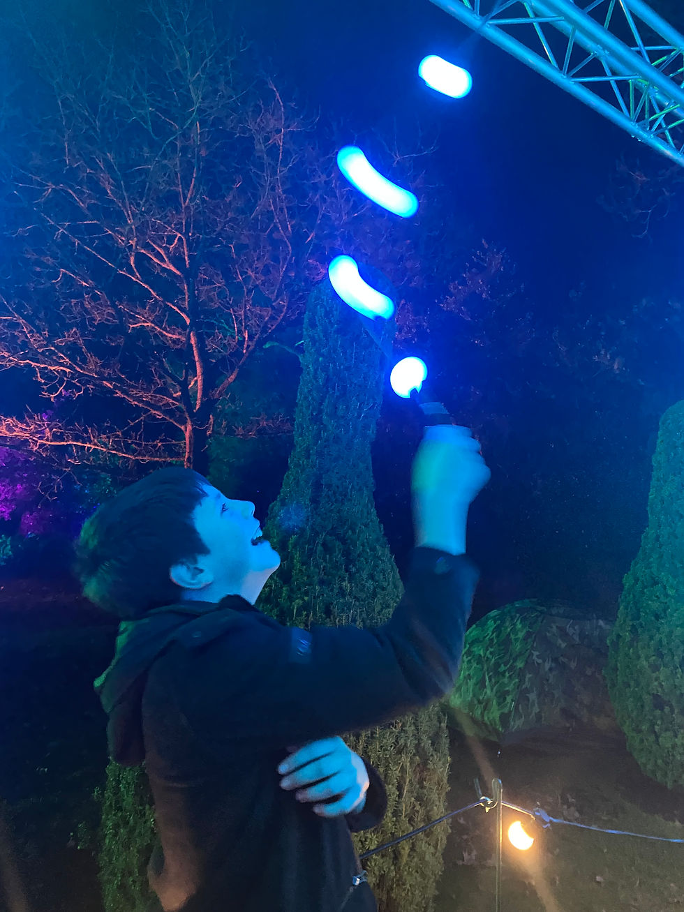 Family Trip Enlightened