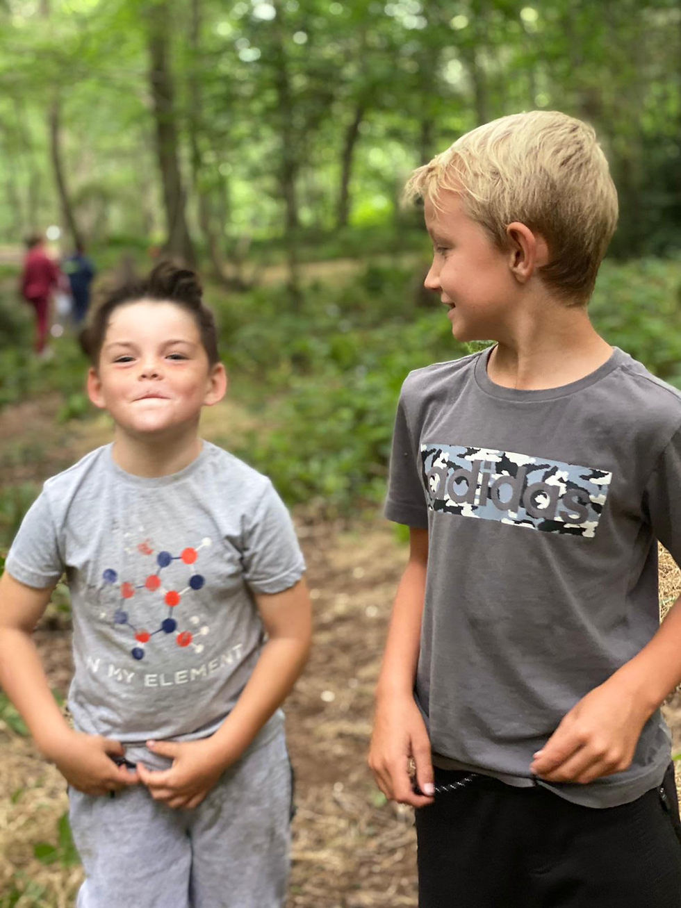 Trip to the Woods