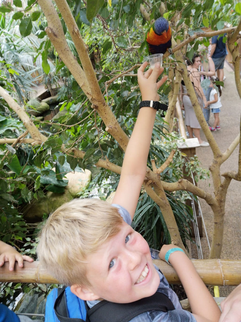 Colchster Zoo