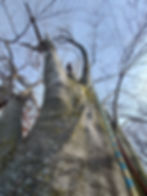 9344adc8-d83d-46b1-8b2c-cc8e20fe0de3