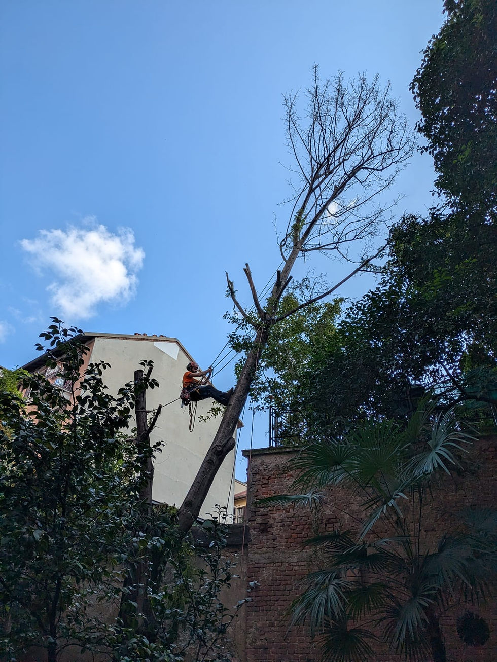 b6b971ff-259b-4b0a-9d22-13ce33db1b29