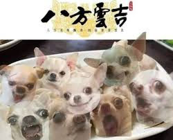 第三篇