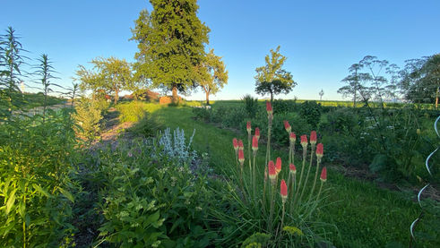 IMG_5485 (1).jpeg