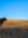 20240926_075837.jpg
