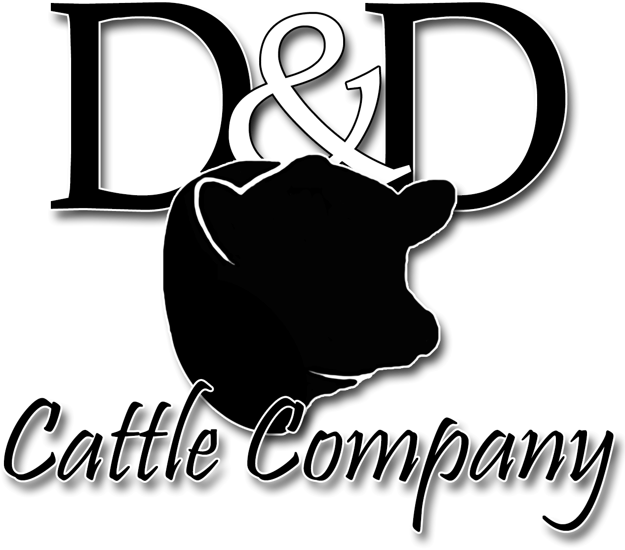 D&D Cattle Company Logo