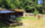 Camp Kitchen