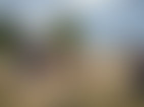 CMO Devils River Summer