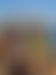 Baldree Florida Gator Hunt