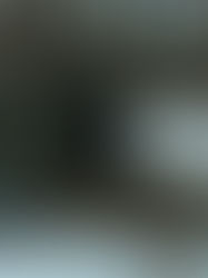 CMO Michigan Sanctuary Ranch