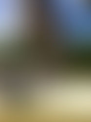 CMO Bayou Bucks 3D Archery Shoot