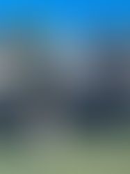 Port O Conner Duck Hunt