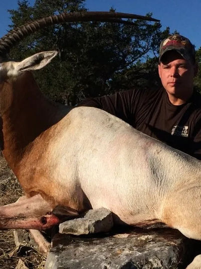 CMO Brand Ranch Hunt