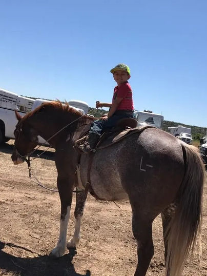 CMO Consuelo Ranch Sonora Rodeo