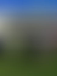 CMO Texas A&M Football