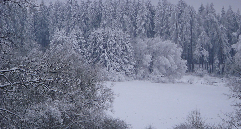 Wintereinbruch 18.12.2009 049.jpg