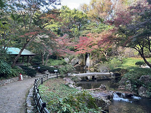 IMG_4993.JPG