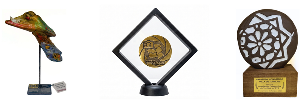 Trofeo de la competición internación 10x10 Cup 2025   -   Medalla de Oro de la FCMF  -  Galardón Villa de Torrijos