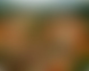 Efecto Tilt-Shift: Un mundo en miniatura