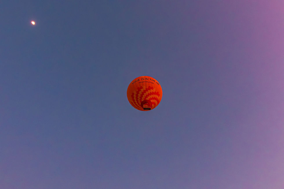 p27-Fly with the wind.jpg