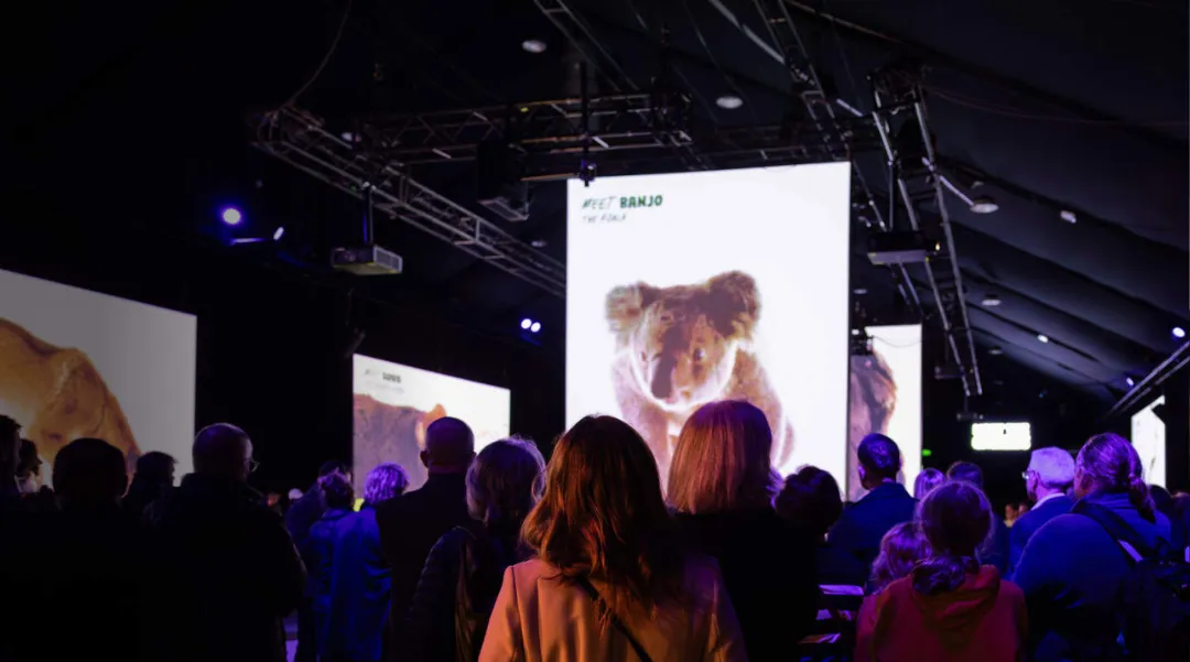 An audience watching a large screen displaying a koala at an indoor event, promoting wildlife education and awareness.