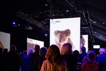 An audience watching a large screen displaying a koala at an indoor event, promoting wildlife education and awareness.