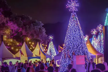 Brightly lit Christmas trees and decorated tents at a festive night event, evoking joy and celebration.