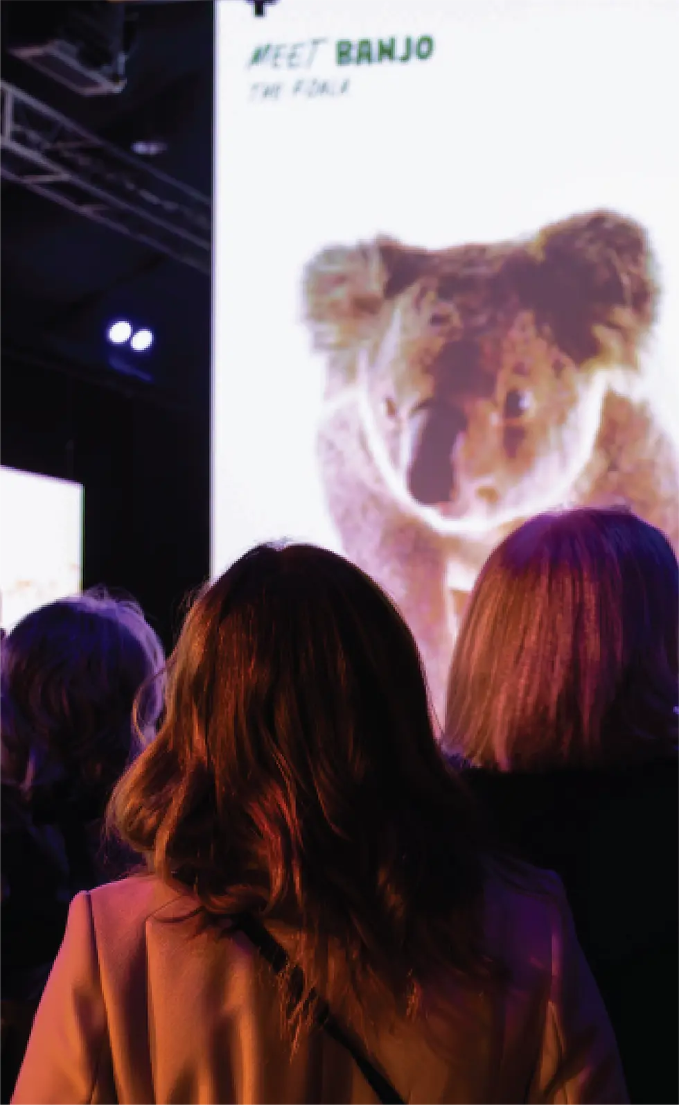 launch and campaign mobile.webp