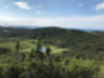 IMG_0083.jpeg