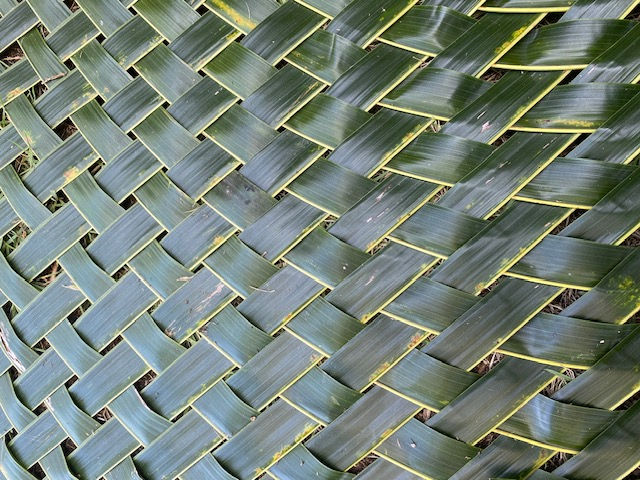 Si Ri Panya News Highlights (issue 41)