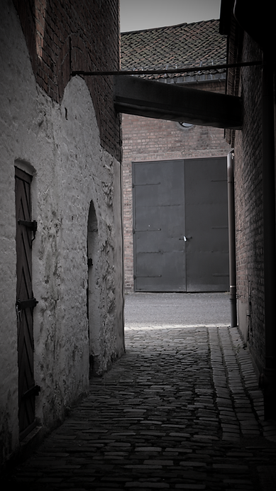 DSC04065_final.png