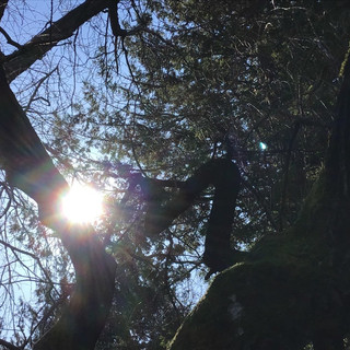 J, aged 5 shares, "I really like the colours around the sun in this photo."