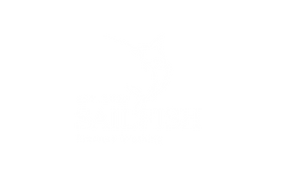 Sailfish Pressure Washing Logo