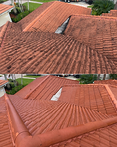 Roof washing before and after