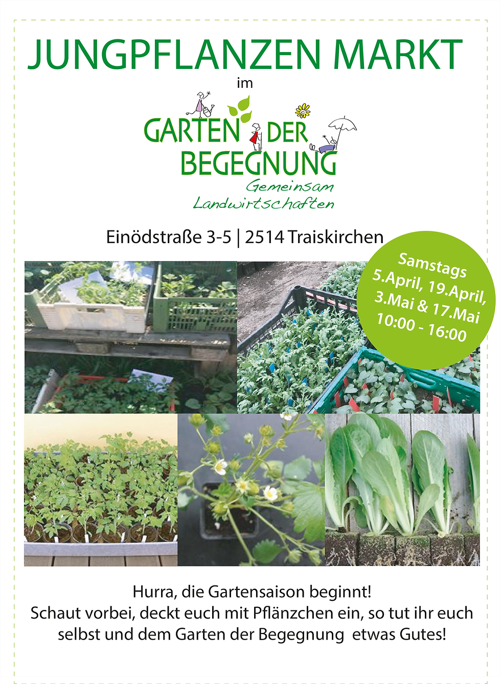 Junge Pflänzchen für den eigenen Garten
