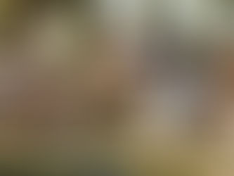 Explore UAAR's Aboriginal American Culture and Sustainable Practices