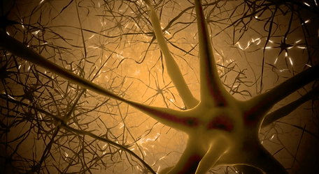 View of neuron connections