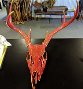 MVIMG_20190419_131319.jpg
