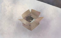 未命名的作品 4.jpg