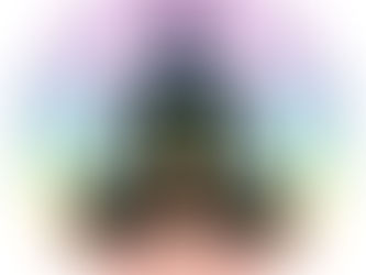 Cosa sono i chakra?