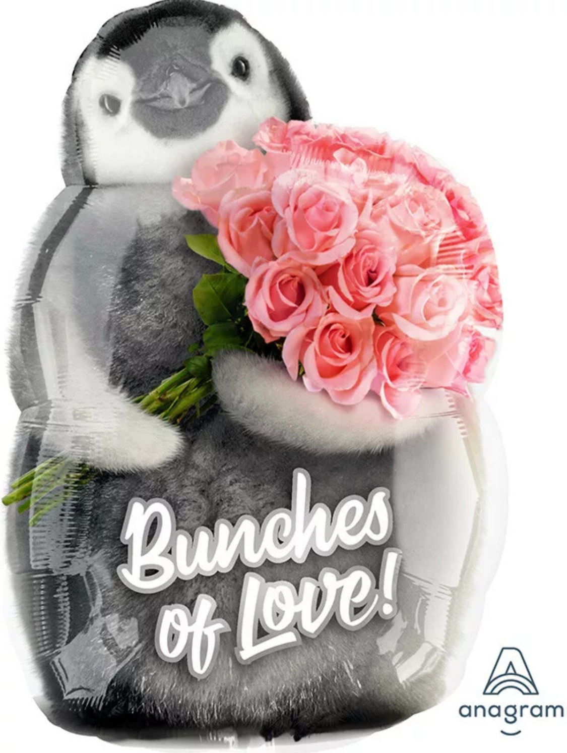 Penguin Bunches of Love 