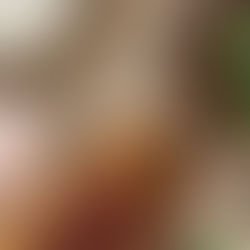 Organisez un team building culinaire pour vos événements d’entreprise