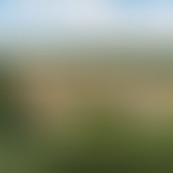 Les activités pour votre séminaire en avril