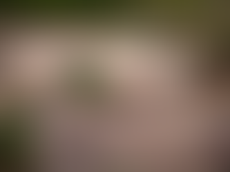 Reactivan construcción de importante represa en Honduras 