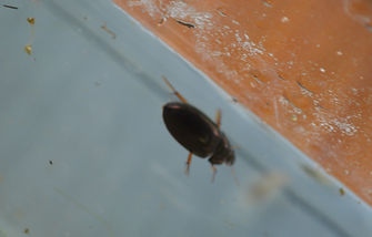 DSC_0569.JPG