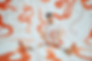 _DSF1113_SKSK25.jpg