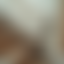 Albatros Erişim ile Adana'da Merdiven Asansörü Çözümleri ve Yenilikçi Yaklaşımlar