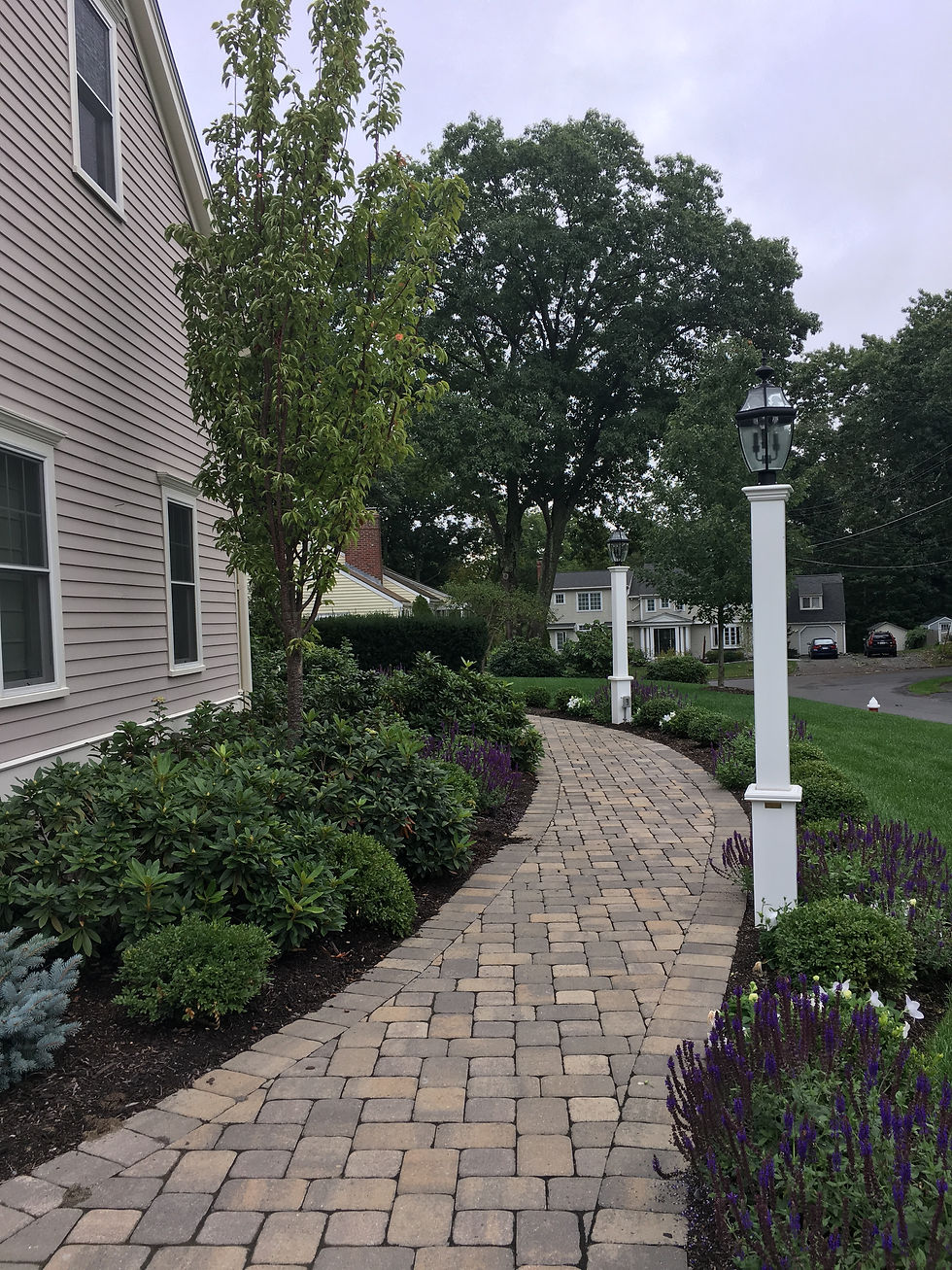 1F2D9BE8-3369-42BD-B1CE-5B2612EC463A