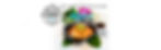 Homepage_Butterfish_Banner2.jpg