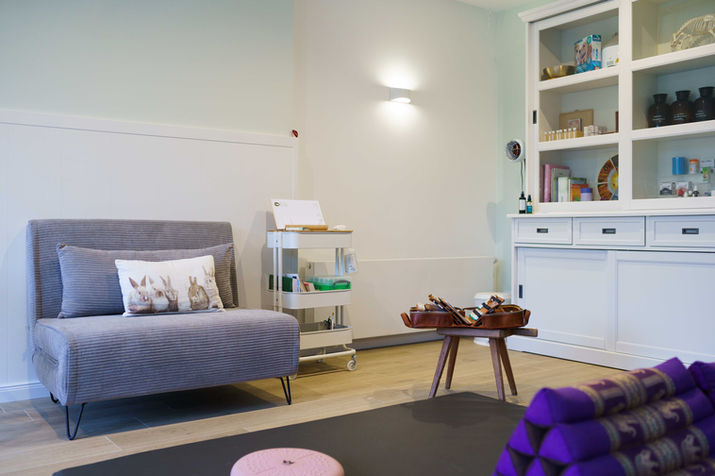 Praxiraum Tierheilpraxis Nadine Kosian Reinbek