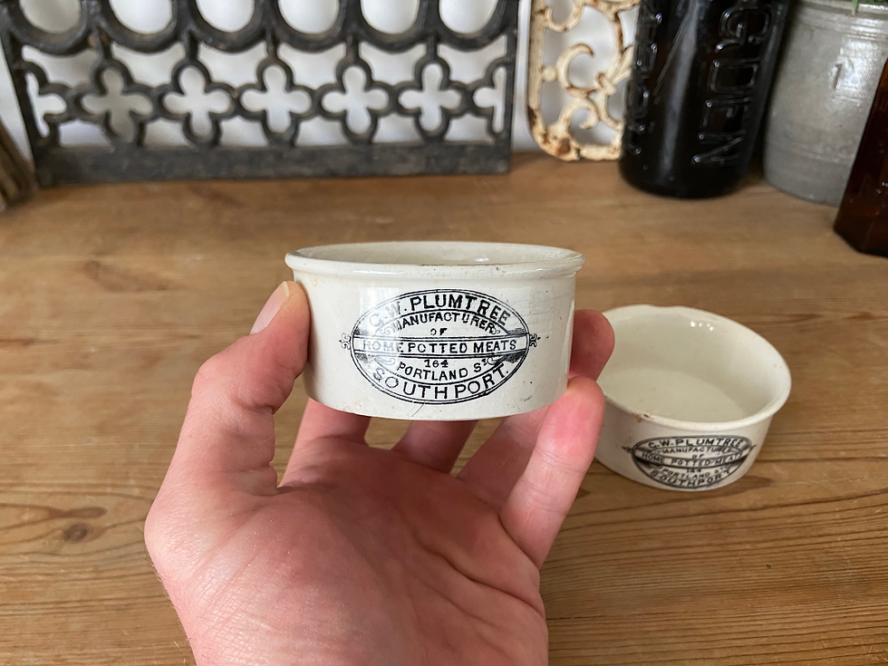 Thumbnail: 1x Antique G.W. Plumtree ironstone potted meat pot